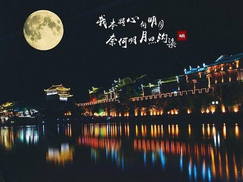 我本将心向明月,步履不停——追寻人生真谛的旅程