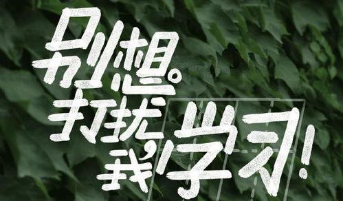 别想打扰我学习,打造高效学习环境