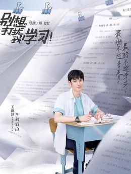 别想打扰我学习,打造高效学习环境