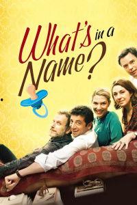 起名风波,一场关于命名权的争议与反思