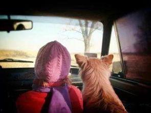 杀奸O娘,揭秘古代女性的复仇传奇