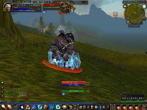 图霍格,揭秘神秘古堡的奇幻世界