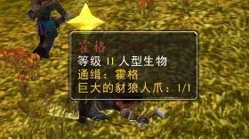 图霍格,揭秘神秘古堡的奇幻世界